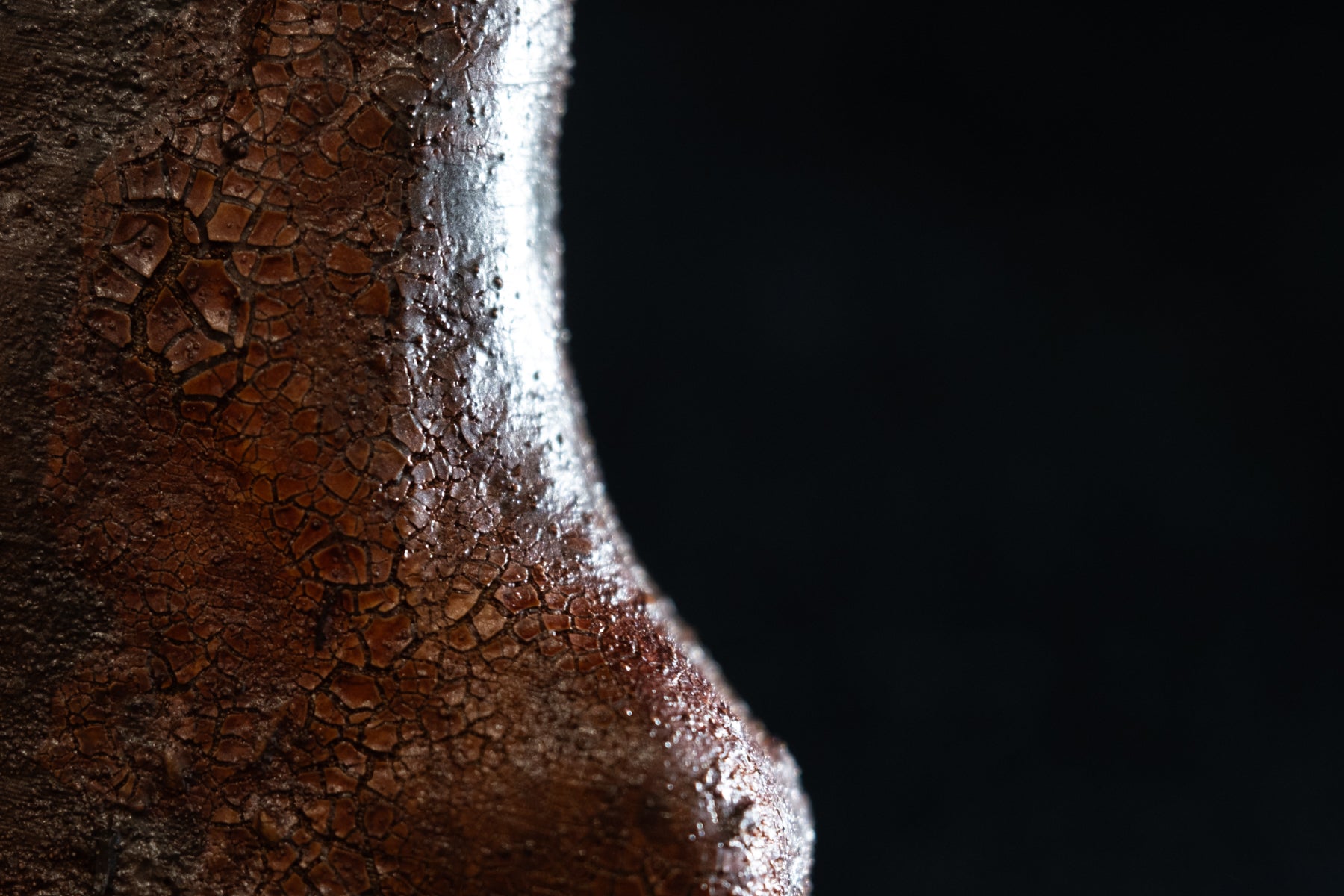 Griffe de Tyrannosaurus rex