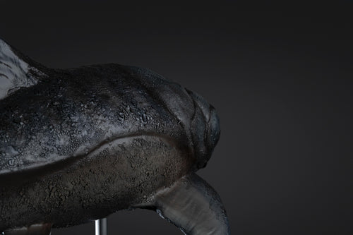 Figurine de Dunkleosteus à peindre