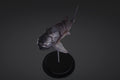 Figurine de Dunkleosteus à peindre