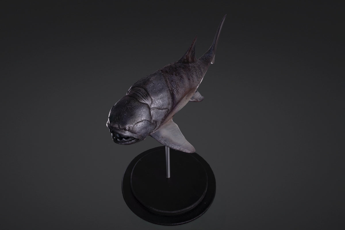 Figurine de Dunkleosteus à peindre