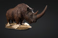 Figurine de Rhinoceros laineux