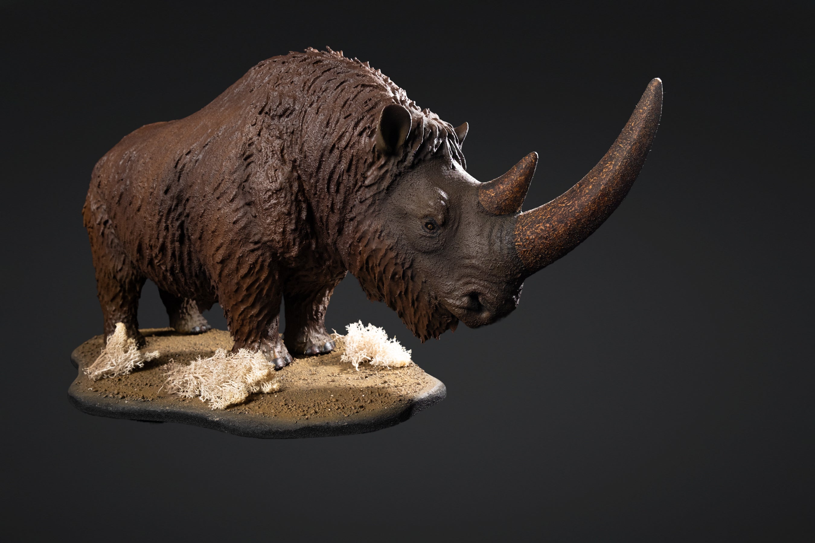 Figurine de Rhinoceros laineux