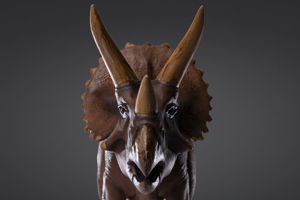Figurine de Triceratops