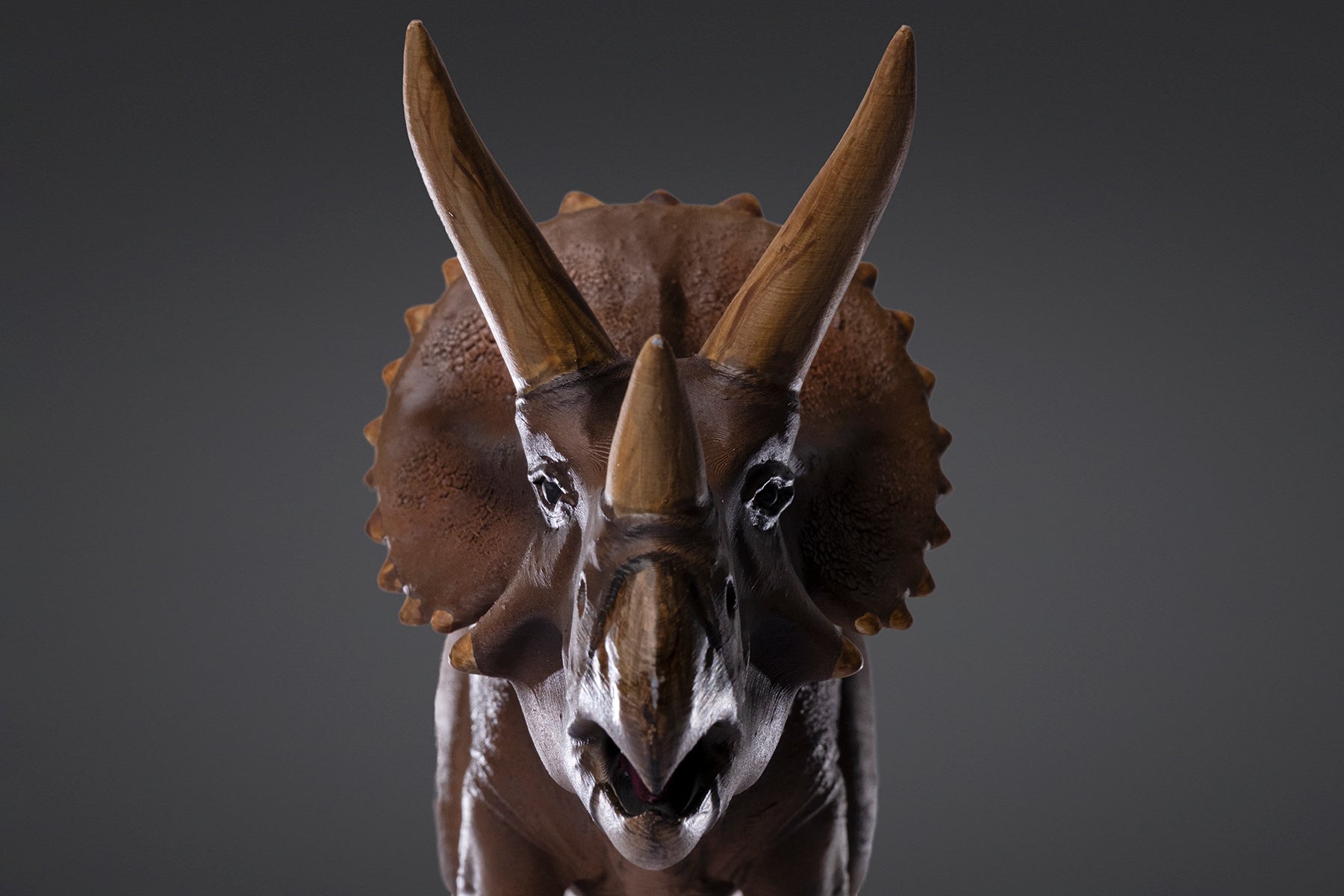 Figurine de Triceratops