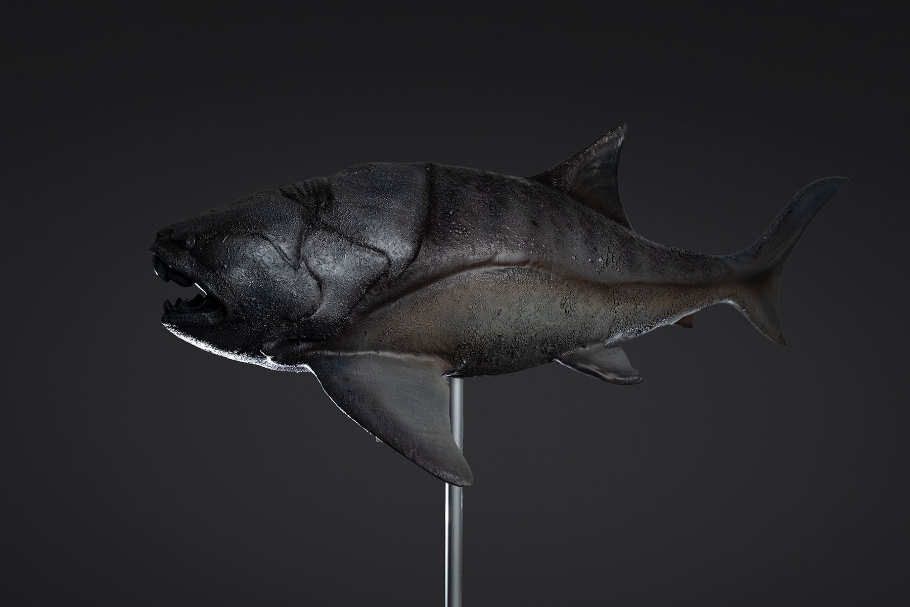 Figurine de Dunkleosteus