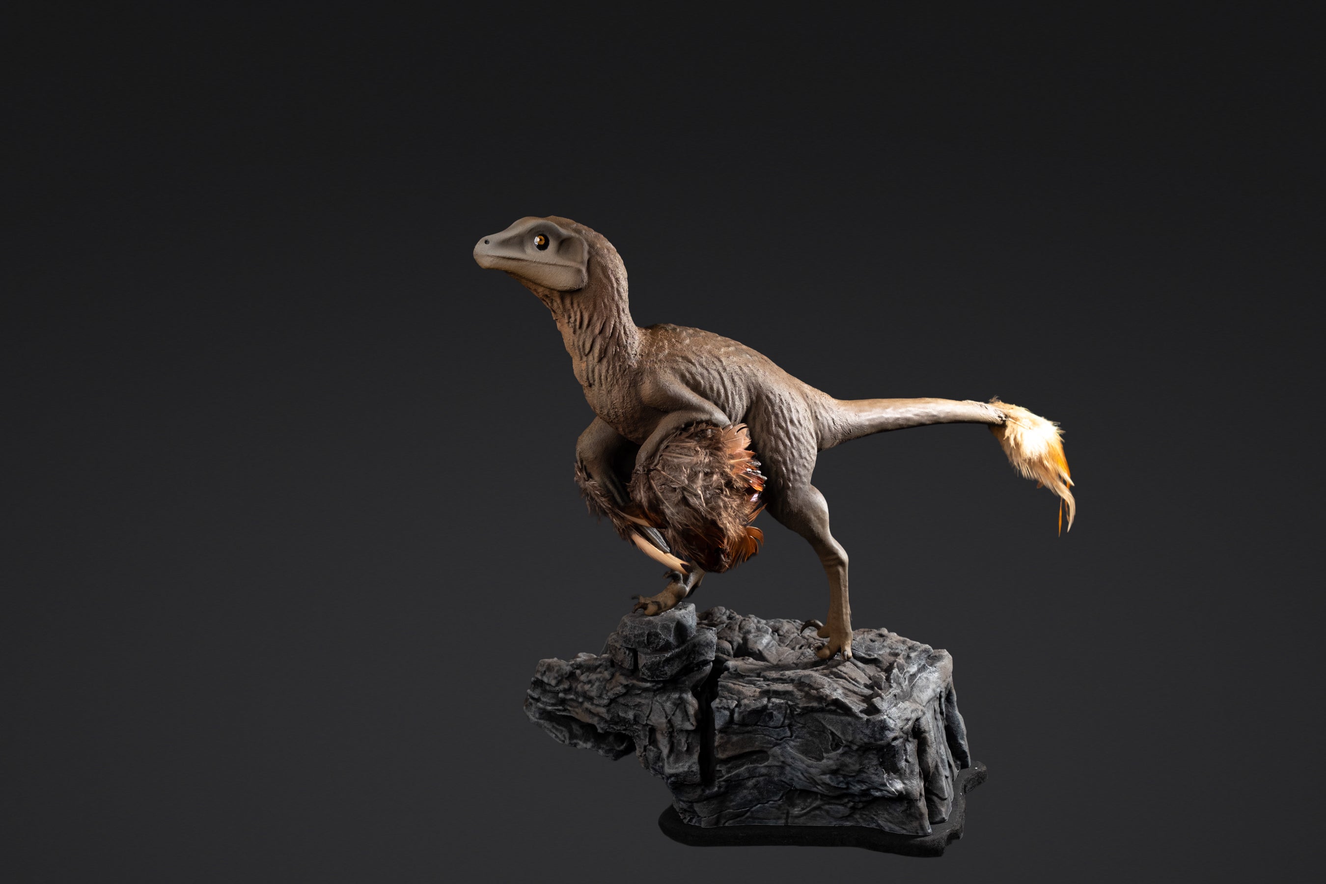 Figurine de Raptor