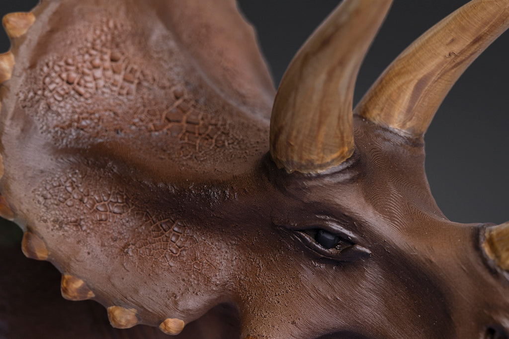 Figurine de Triceratops