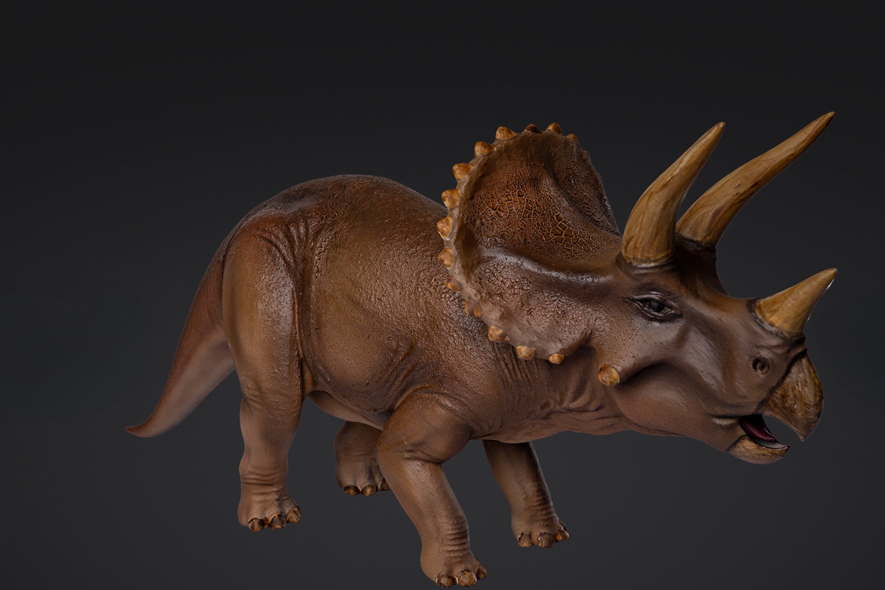 Figurine de Triceratops