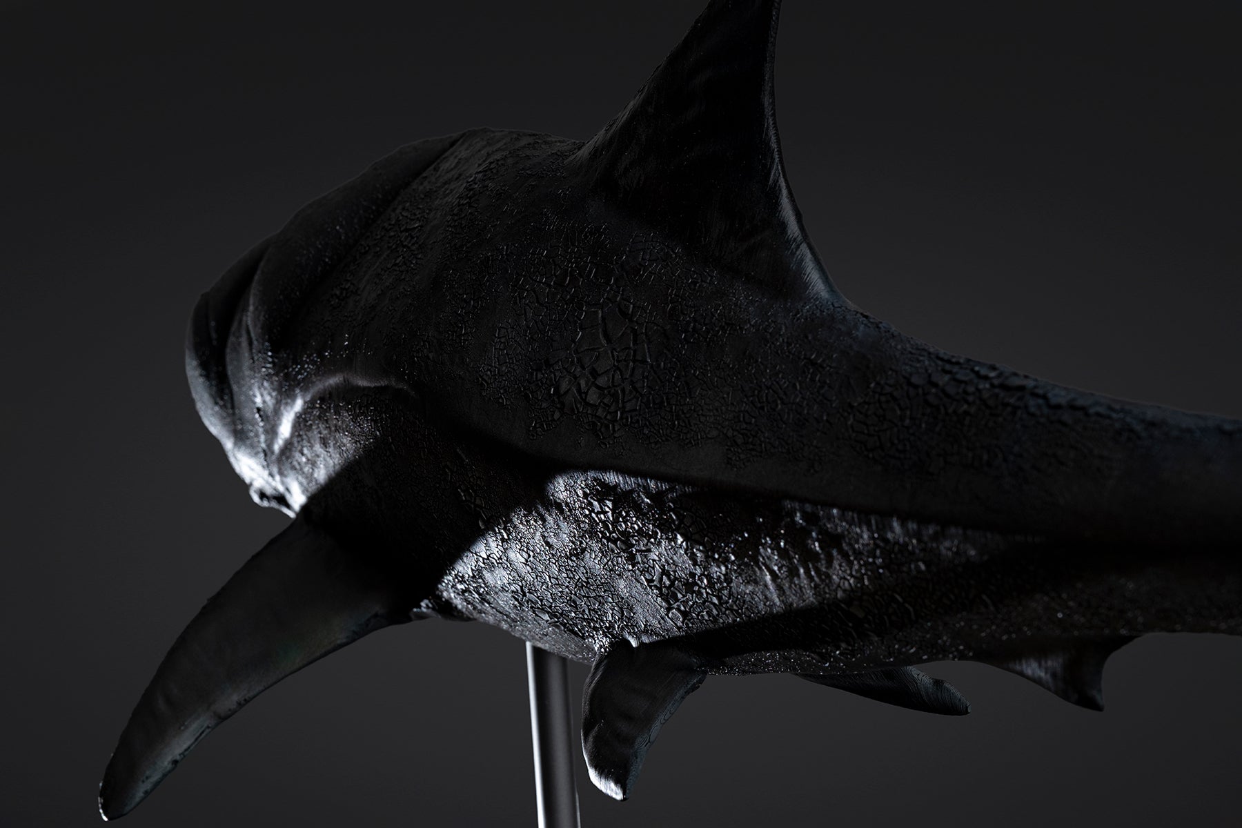 Figurine de Dunkleosteus