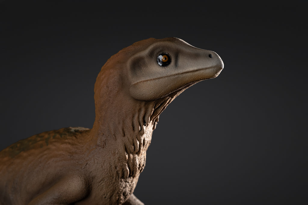 Figurine de Raptor