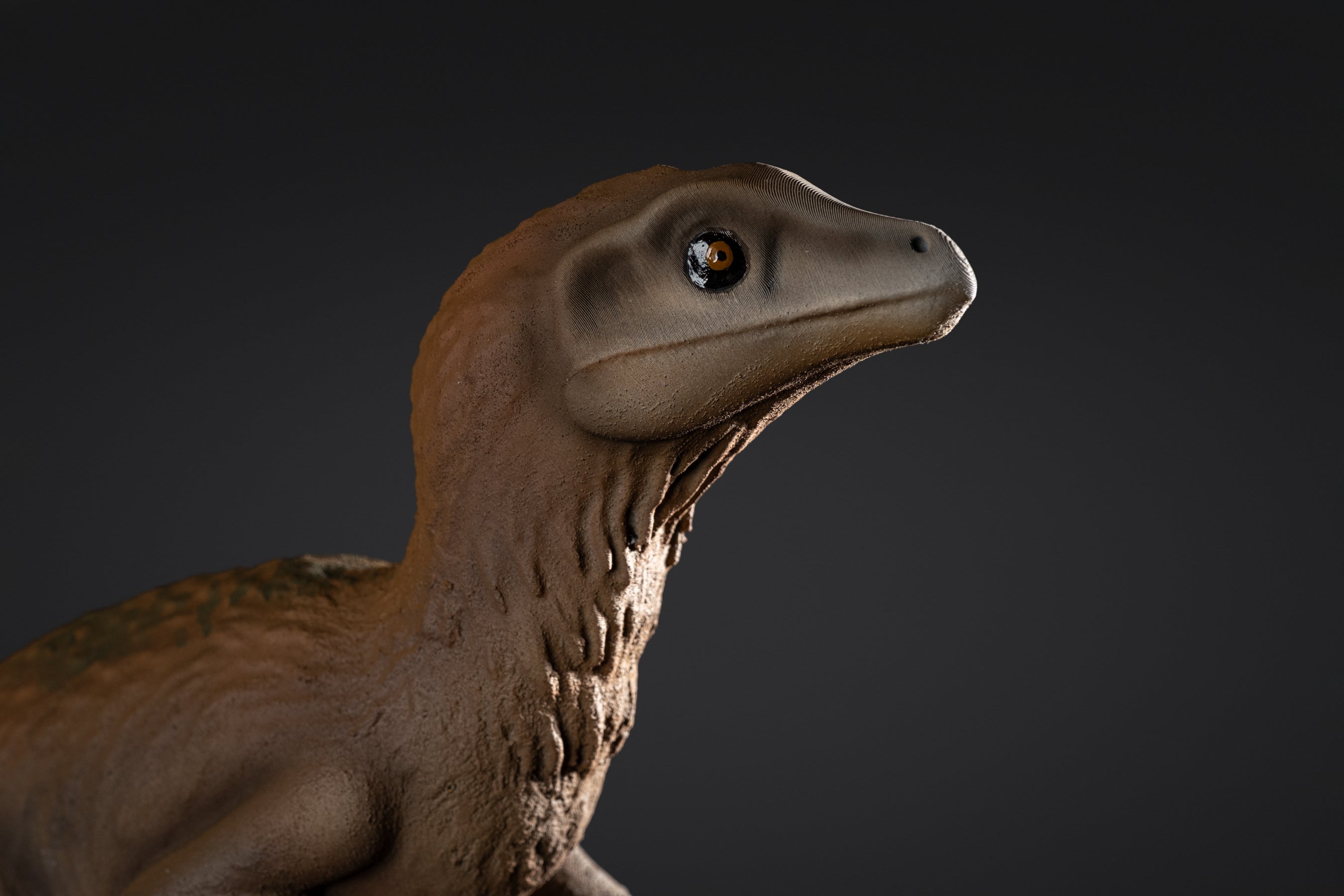 Figurine de Raptor