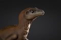 Figurine de Raptor à peindre