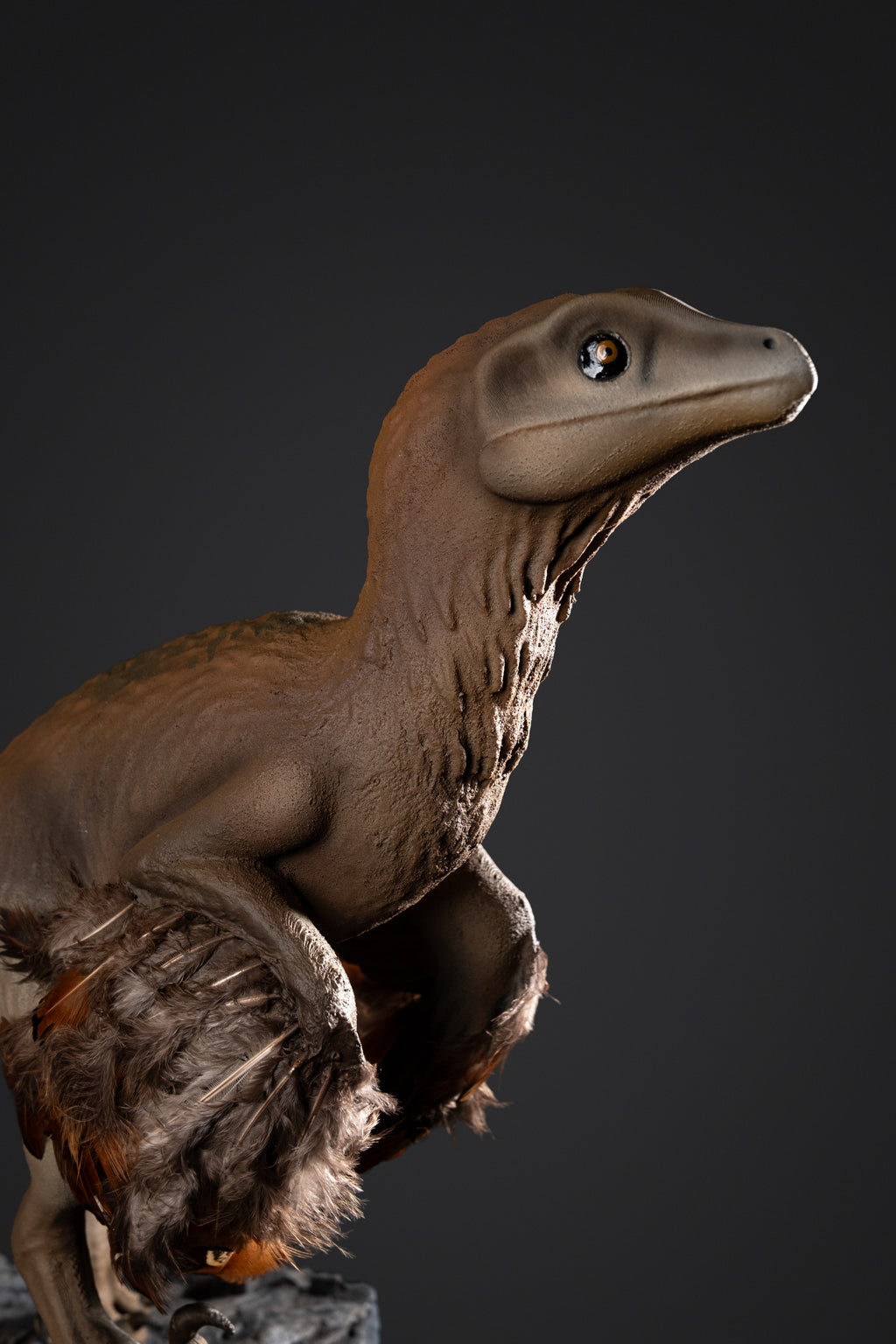 Figurine de Raptor