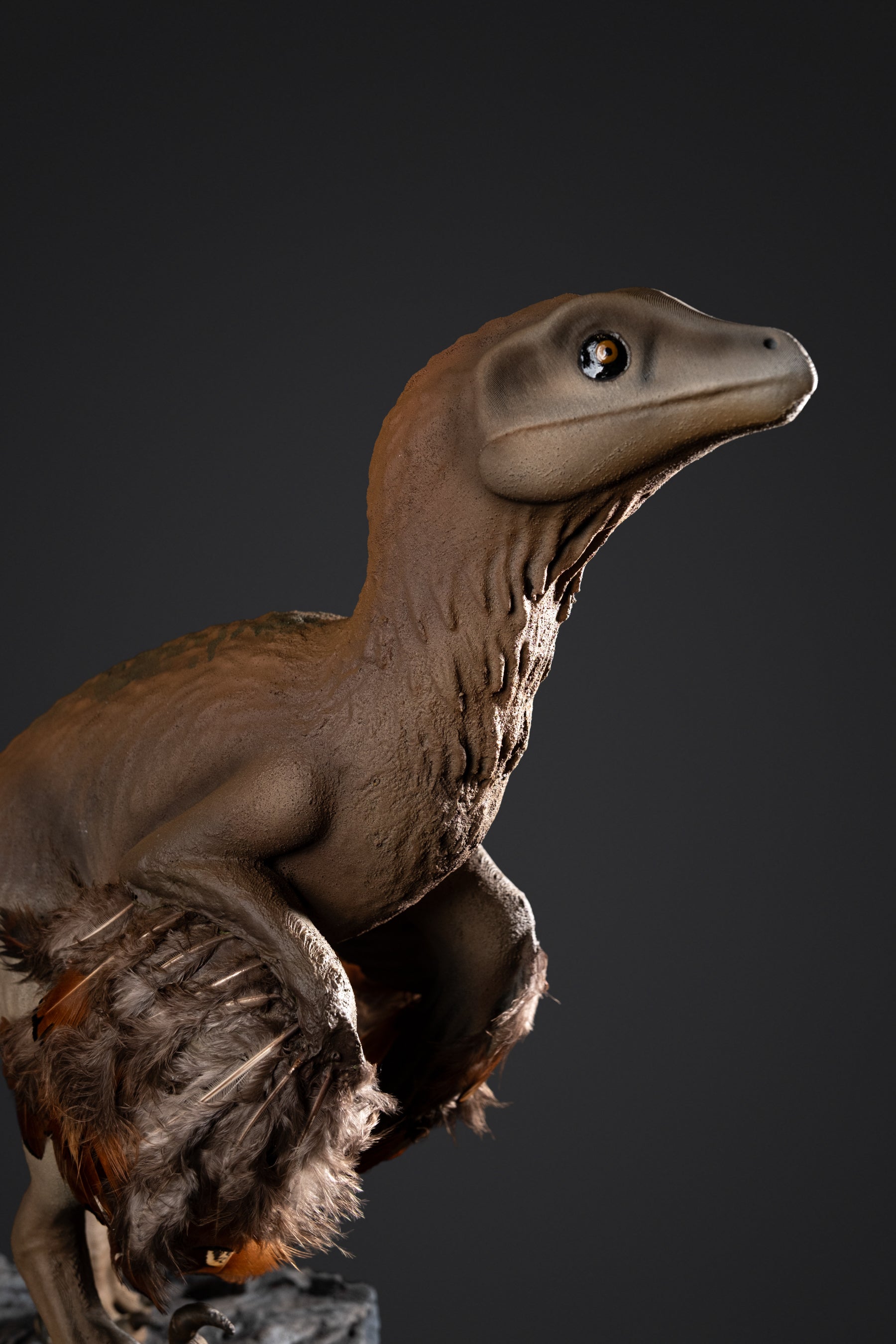 Figurine de Raptor