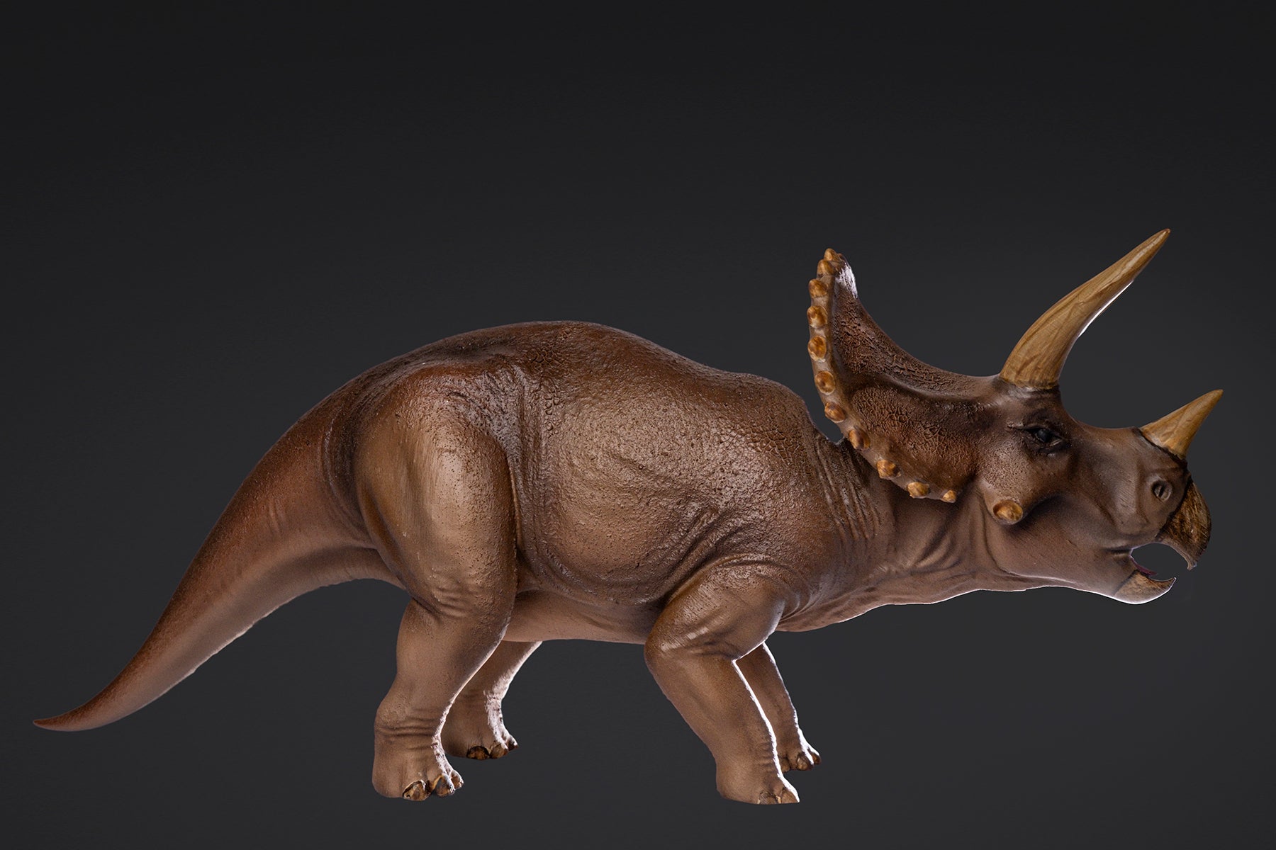 Figurine de Triceratops
