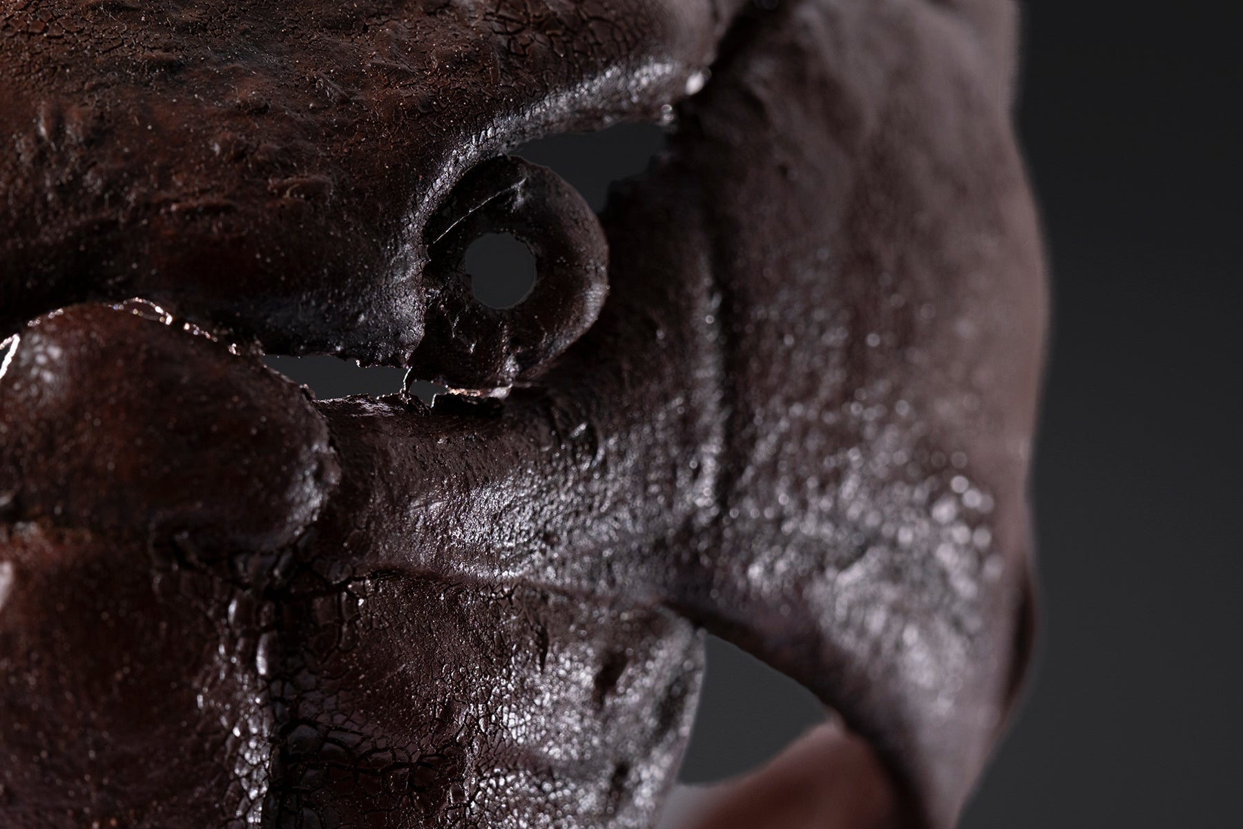 Crâne de Dunkleosteus