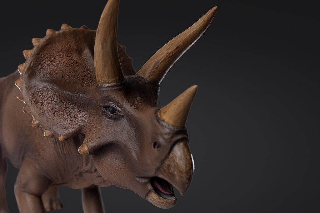 Figurine de Triceratops