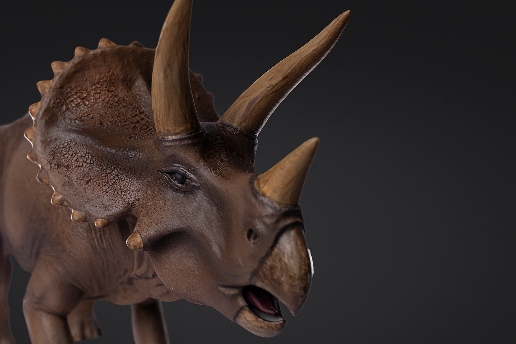 Figurine de Triceratops
