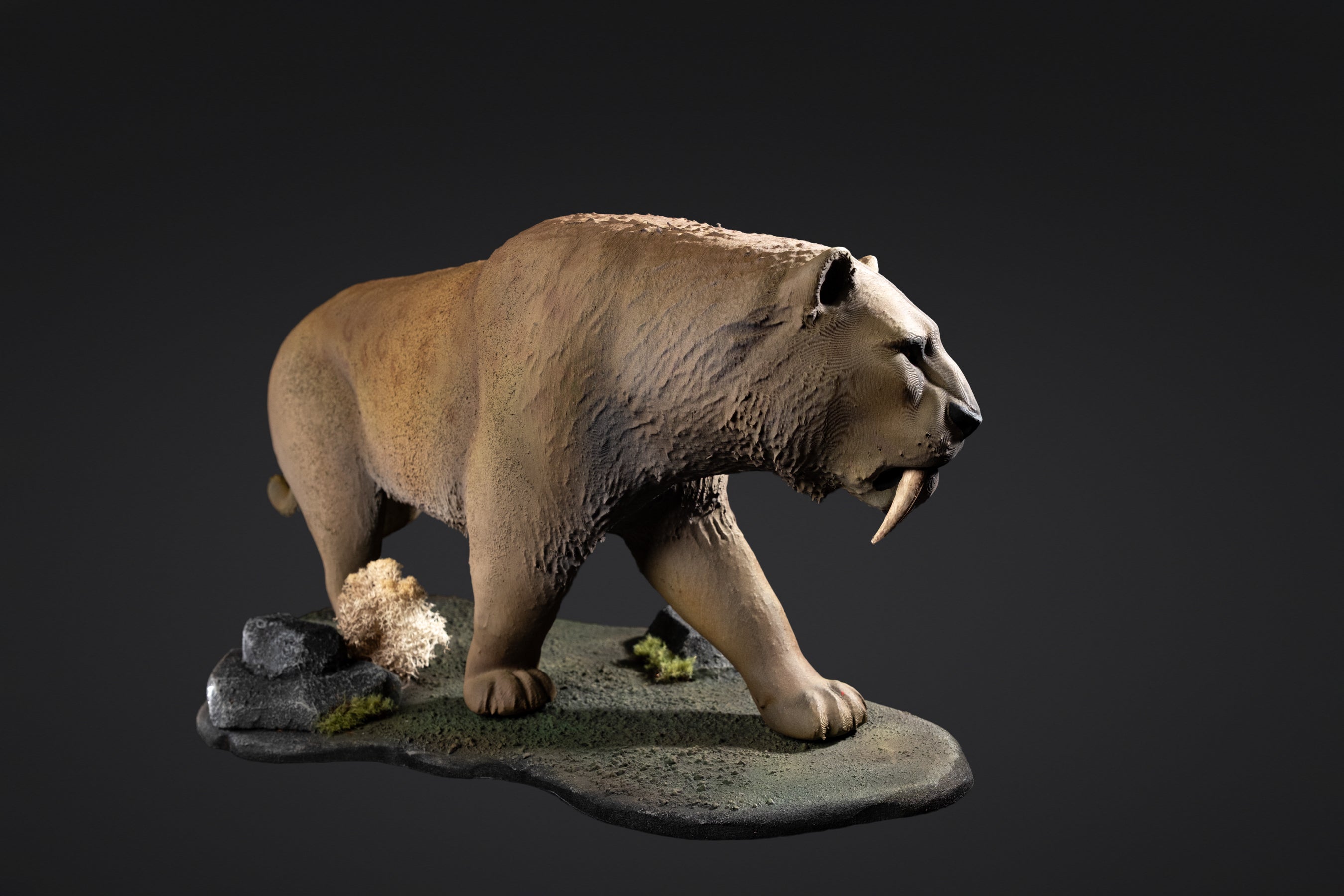 Figurine de Hoomotheerium
