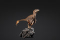 Figurine de Raptor