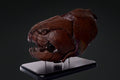 Crâne de Dunkleosteus